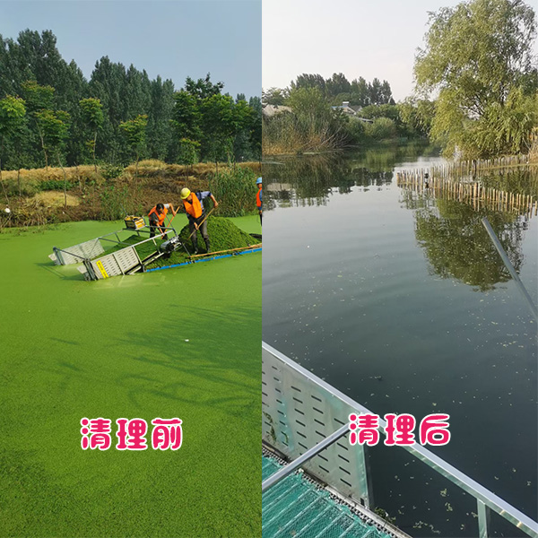 江蘇省常州市新北區河道浮萍清理效果展示 江蘇省常州市新北區河道浮萍清理效果展示